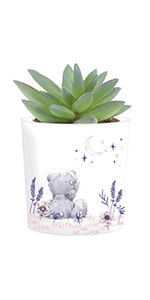 Me to You Tatty Teddy Artificial Succulent