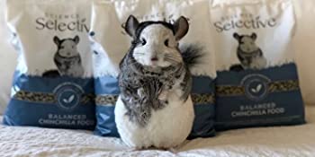 Selective Chinchilla