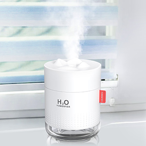 humidifier 2