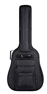 guitar bag