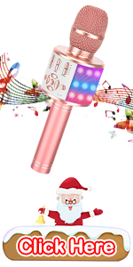 karaoke microphone