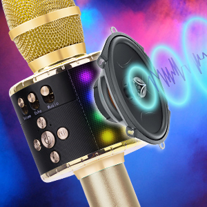 microphone with speaker