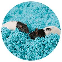 small pet bedding, small animal bedding, mice bedding, mouse bedding, rat bedding