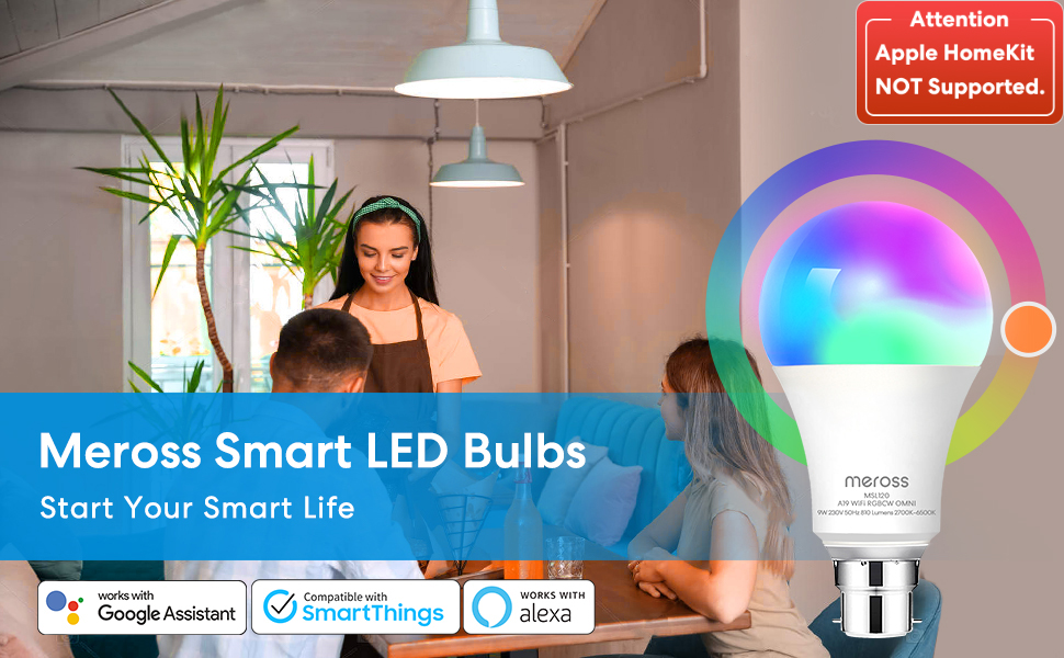 smart bulb