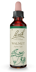 Bach Original Flower Remedies - Walnut