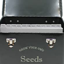 seed tin with dividers