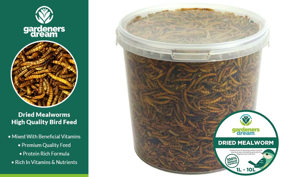 GD Dried Mealworms Tub Header