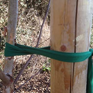 biostretch extra wide green tree ties rubber young stakes plant rings