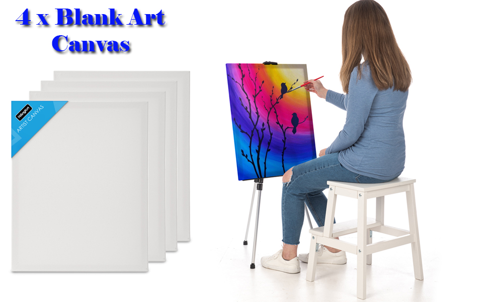 4 acrylic blank art canvas set