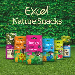 Excel Nature Snacks