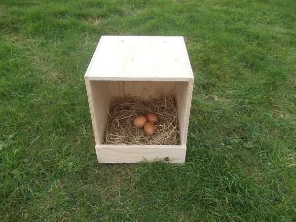 Chicken nest box nesting box hends birds poultry - Image 3