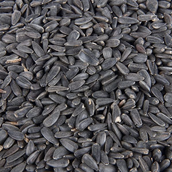 Premium Black Sunflower Seed Wild Bird Food 3L Tub - Image 2