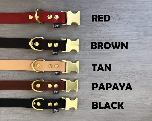 Quick Release Dog Collar in Brown Leather and Brass Hardware for Large and Medium Dogs, 2,5cm Wide Collar, Colorful Dog collar, Breakaway Dog Collar - Image 5