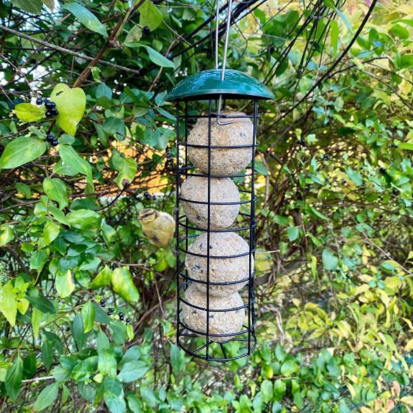 Bird Feeder With 4 Suet Balls Included - Plastic Outdoor Hanging Feeders for Garden Birds Feeding - Attracting Tits, Finches, Robins, Sparrows & many more Wild Birds - Image 2