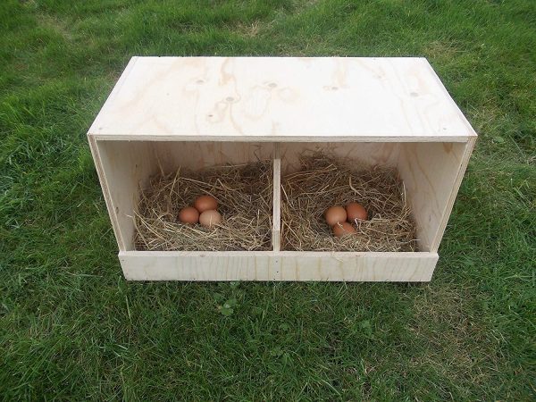 Chicken nest box nesting box hends birds poultry - Image 4