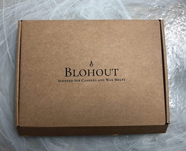 BLOHOUT Wax Melt Gift Set Perfume Scents, 49 Highly Scented Soy Wax Melt Hearts