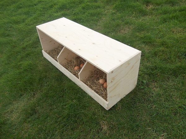 Chicken nest box nesting box hends birds poultry