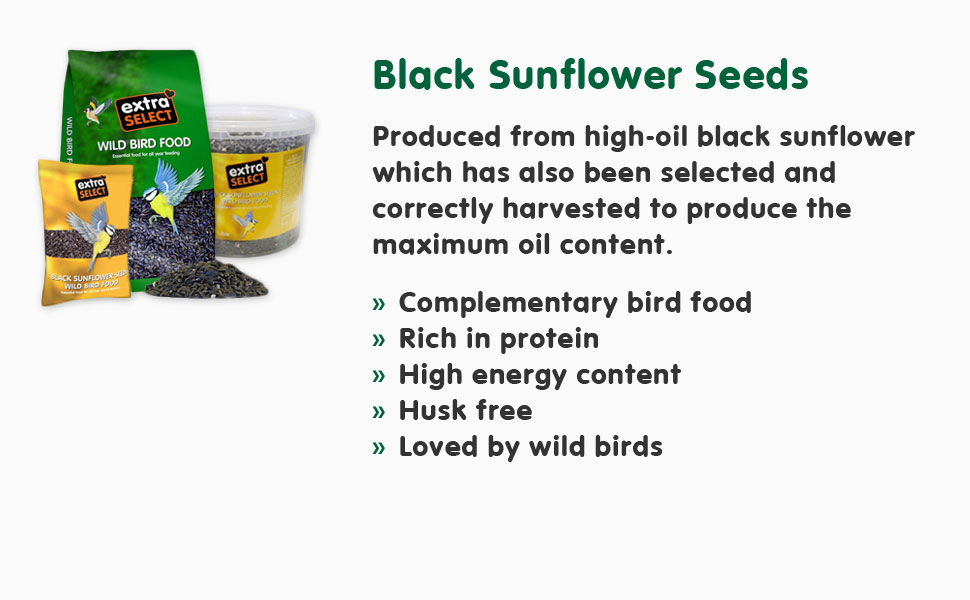 black sunflower seeds wild bird food