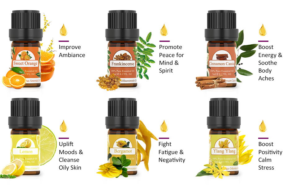 Brief introductions of ASAKUKI TOP12 Essential oils set