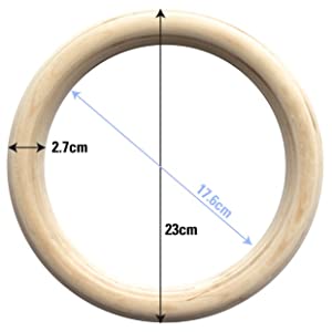 Gym Ring Dimensions