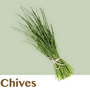 Chives