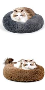 cat bed