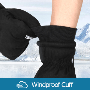 Mens Winter Gloves