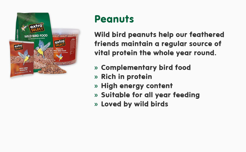 peanuts wild bird food