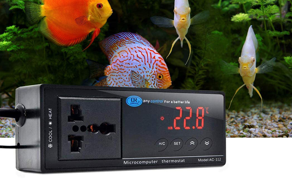 Reptile Thermostat