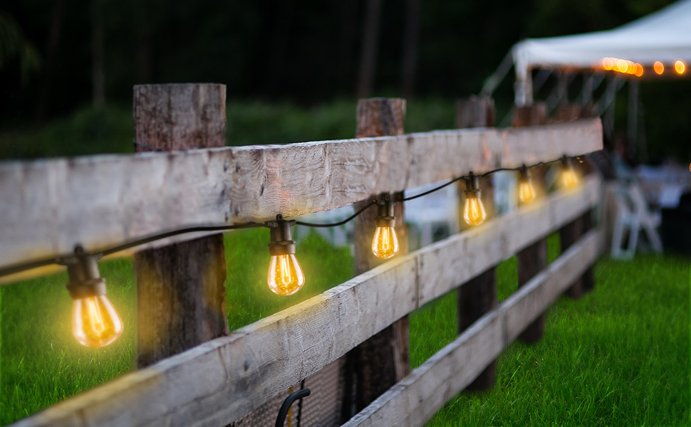 String Lights for Backyard