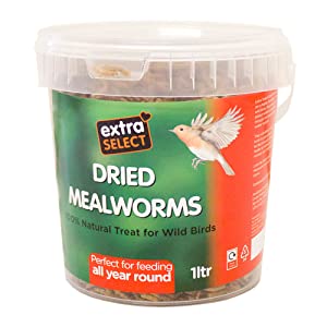 mealworms, extra select, bird food, wild bird food