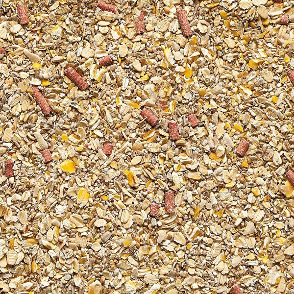 Gardman A05618 No Grow Seed Mix for Wild Birds - 12.75kg - Image 3