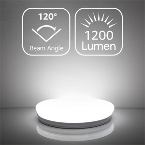 18W LED Ceiling Light Daylight White