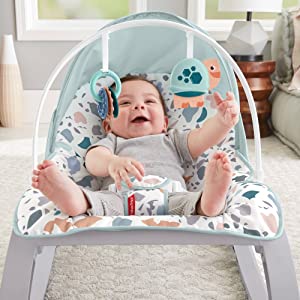 Fisher-Price GMD21 Deluxe Infant-to-Toddler Rocker, Multi-Coloured