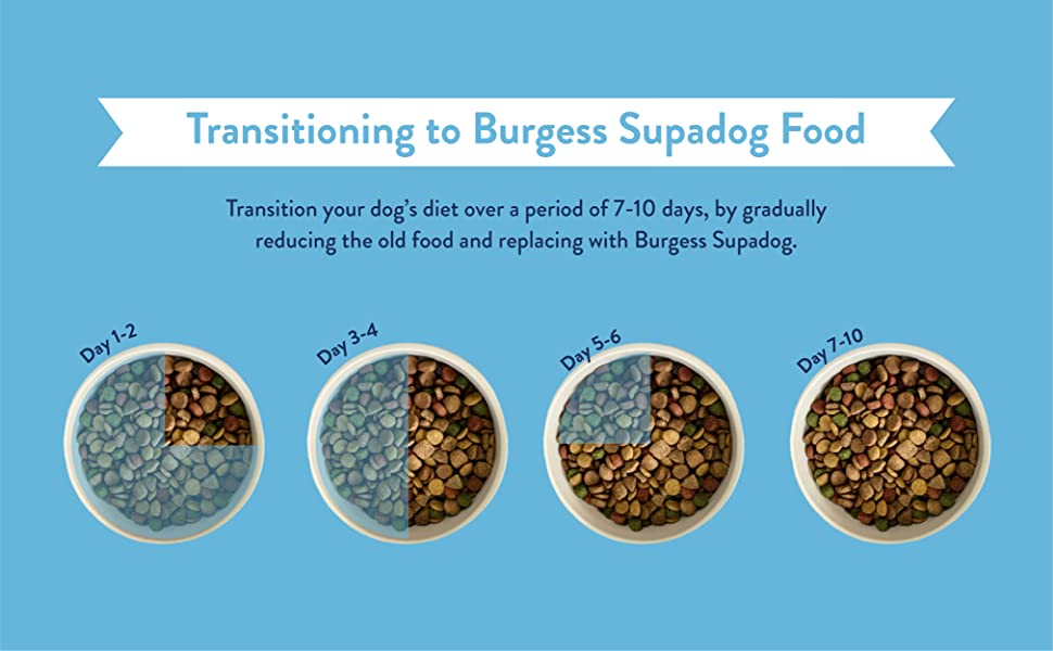 Transitioning to Burgess Supadog Food