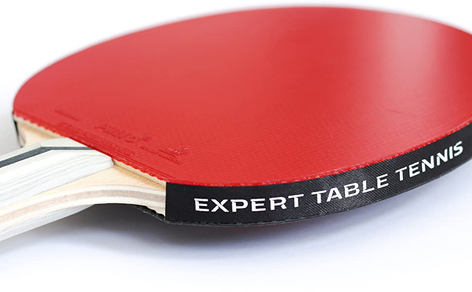 Palio Expert 3.0 (Expert Table Tennis) - Bat Racket Paddle