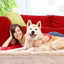 dog on rug