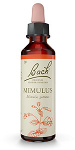 Bach Original Flower Remedies - Mimulus