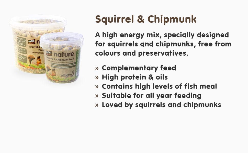 squirrel and chipmunk wild animal food