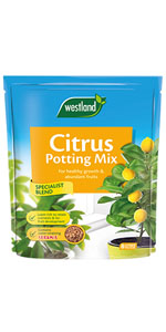 citrus potting mix