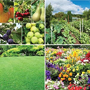 Vegetables, Fruits, Flowers, Lawns