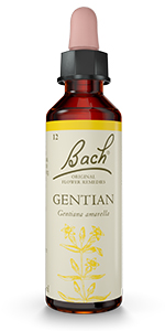 Bach Original Flower Remedies - Gentian