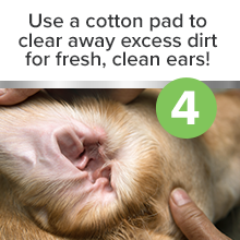 Pro Pooch Ear Cleaner