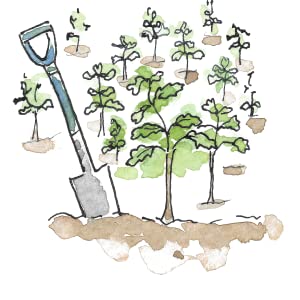 illustration of a spade and trees