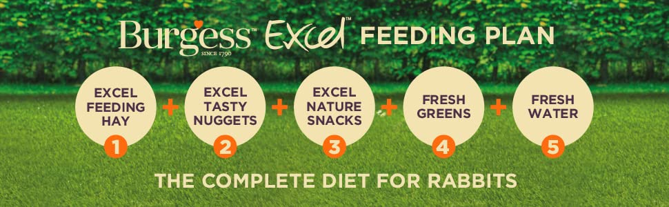 Burgess Excel Feeding Plan The Complete Diet For Rabbits