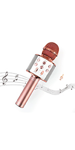 Karaoke Microphone 