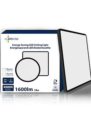 Package of LED ceiling light