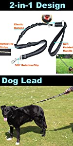 Dog lead