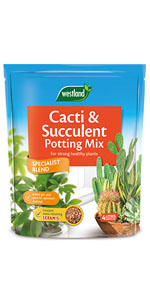 Cacti & Succulent Potting Mix