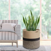 jute plant pot